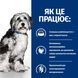 Сухий корм для собак Hill&rsquo;s PRESCRIPTION DIET ON-Care, для підтримки у період реабілітації, при виснаженні, втраті апетиту, онкологічних захворюваннях, з куркою, 10&nbsp;кг 607565BAR фото 3