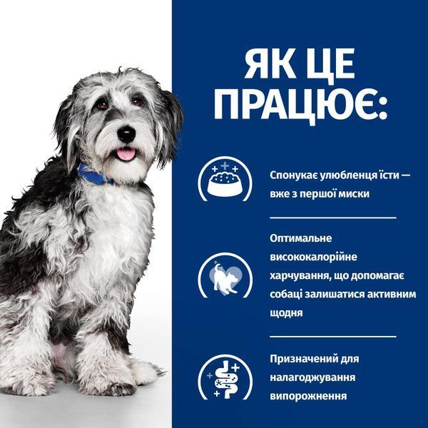 Сухий корм для собак Hill&rsquo;s PRESCRIPTION DIET ON-Care, для підтримки у період реабілітації, при виснаженні, втраті апетиту, онкологічних захворюваннях, з куркою, 1.5&nbsp;кг 607563BAR фото