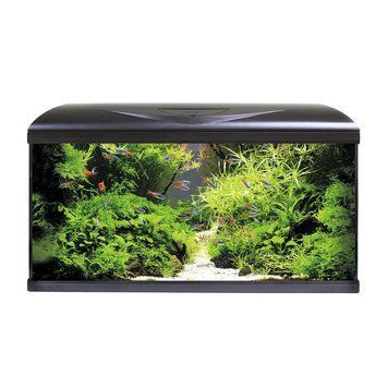 Акваріум AMTRA SYSTEM 80 LED BLACK (акв. 85л, фільтр, помпа 520л/ч, нагр-ч 100Вт, LED 3 кольори) A2001039PI фото