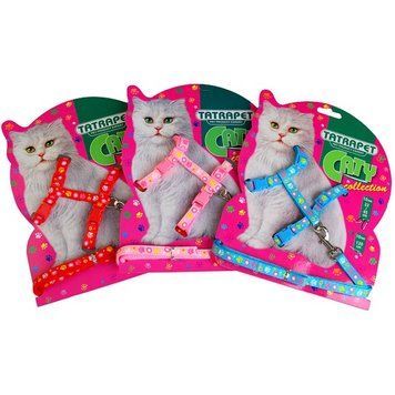 Набор для кошек Caty, шлейка поводок, (красный/голубь/розовый)1х25см 516.14PI фото