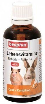 Витамины для грызунов Beaphar LebensVitamine 50 мл мультивитаминная добавка для укрепления иммунитета BAR13173VS фото