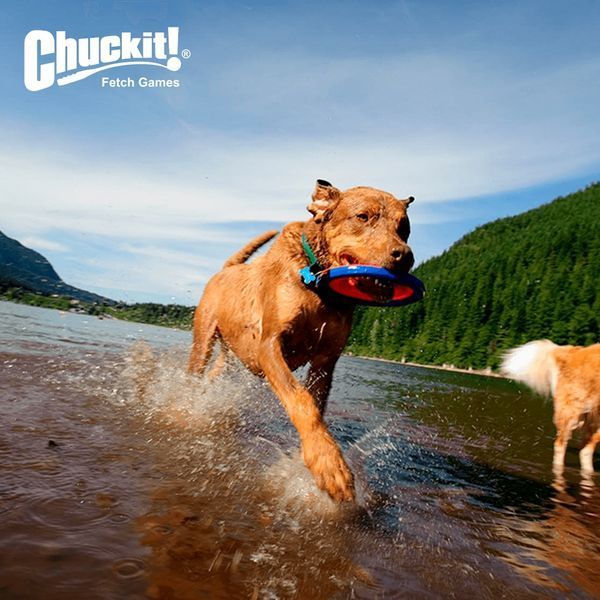 Іграшка CHUCKIT! ZIPFLIGHT літаючий диск для собак середніх розмірів 18100BAR фото