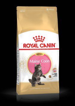 Корм для кошенят ROYAL CANIN MAINECOON KITTEN&nbsp;2.0 кг 2558020RY фото