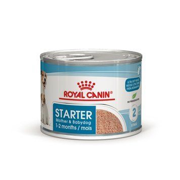 Вологий корм для новонароджених цуценят та собак у період лактації ROYAL CANIN STARTER MOUSE 0.195 кг 4077002RY фото