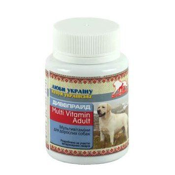 Мультивитаминная добавка Дивопрайд Multi Vitamin для взрослых собак 100 табеток DPD00031VS фото