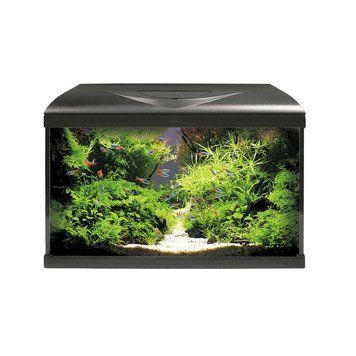 Акваріум AMTRA SYSTEM 60 LED BLACK (акв. 60л, фільтр, насос 480л/год, нагр-ч 100Вт, LED 3 кольори) A2001038PI фото